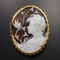 Vintage Shell cameo hand carved by an artist with gold frame (C1)