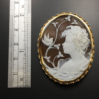 Vintage Shell cameo hand carved by an artist with gold frame (C1)