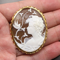 Vintage Shell cameo hand carved by an artist with gold frame (C1)