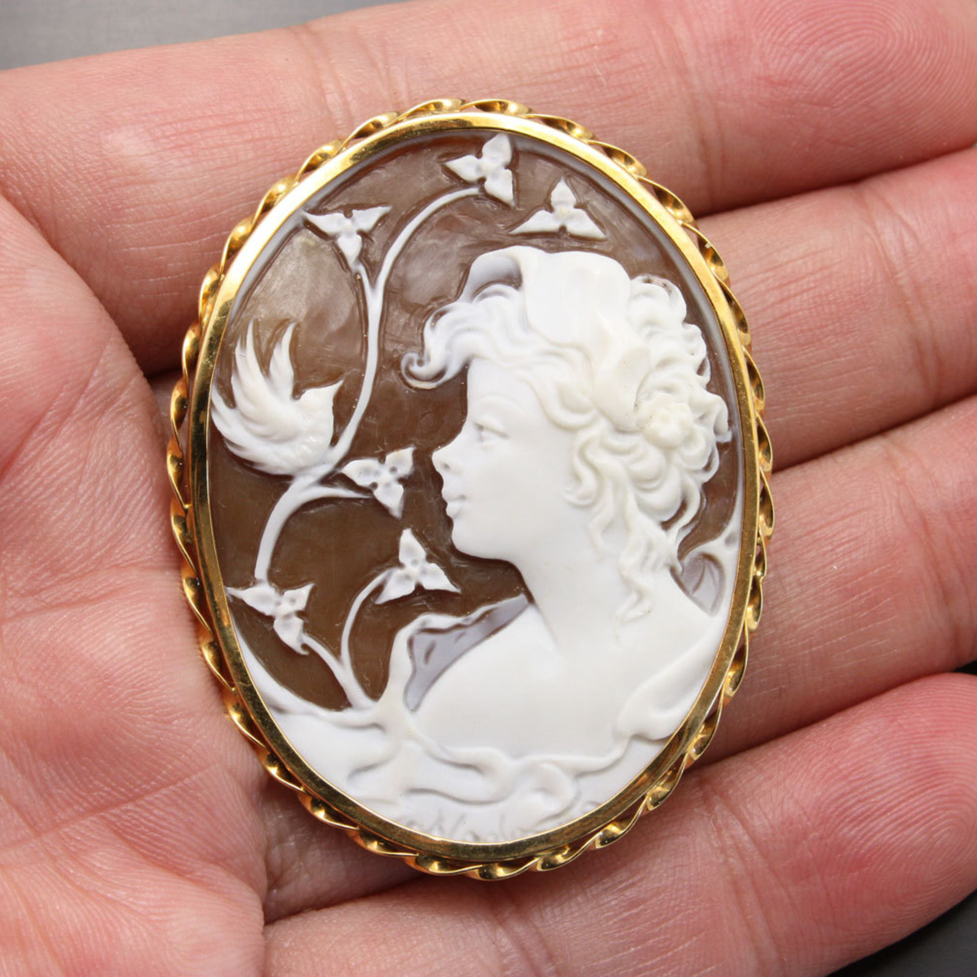 Vintage Shell cameo hand carved by an artist with gold frame (C1)